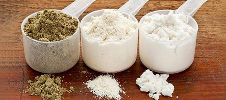 How-To-Choose-Use-Store-Protein-Powder-for-Preppers-890x395_c